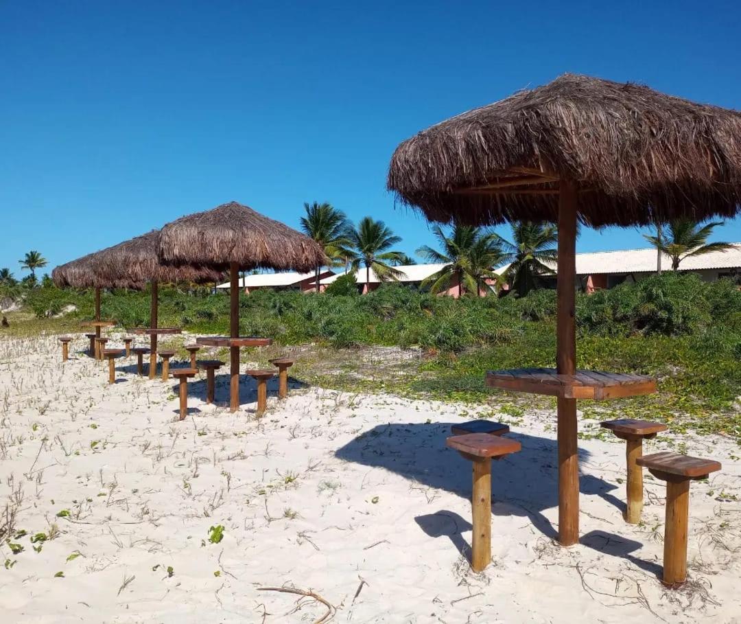 Lindo Apto Em Frente Ao Mar - Ilheus - Itacare Ba Dış mekan fotoğraf